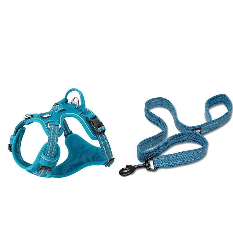 Harness and Lead Set - Blue