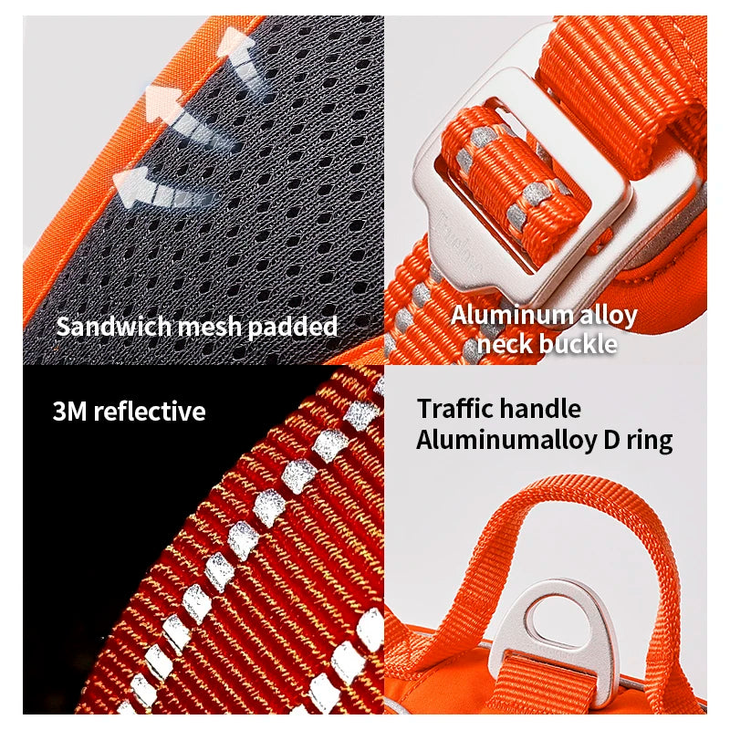 True Love Premium Harness - Orange and Black