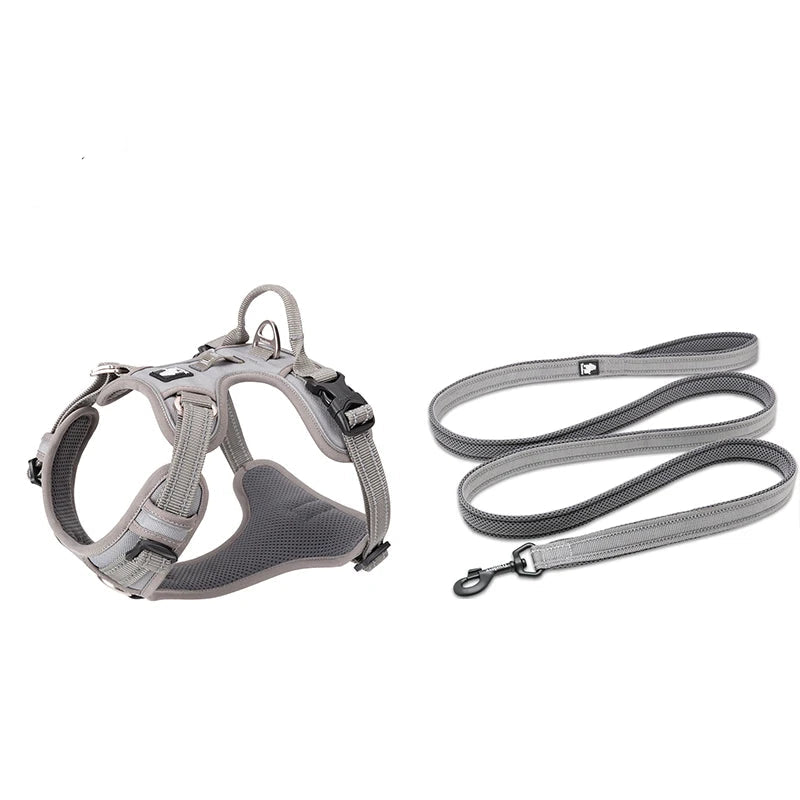 Harness and Lead Set - Grey