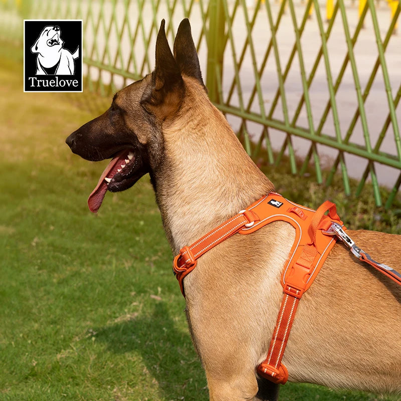 True Love Premium Harness - Orange and Black