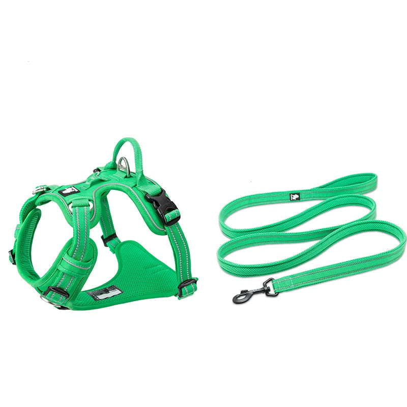 Harness and Lead Set - Green