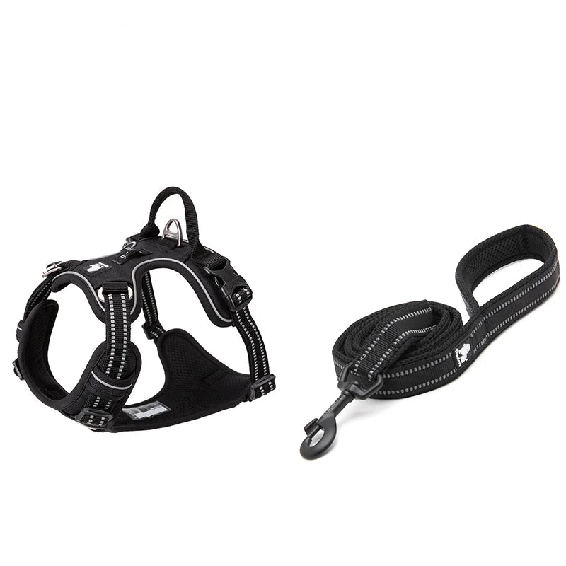 Harness and Lead Set - Black