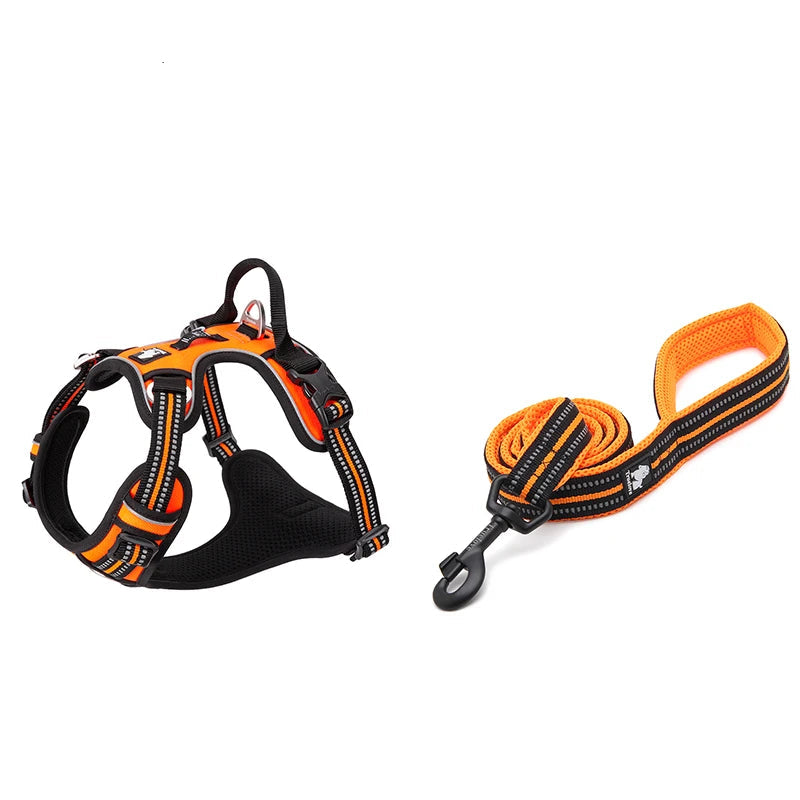 Harness and Lead Set - Orange