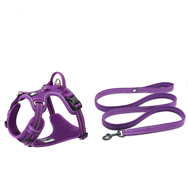 Harness and Lead Set - Purple
