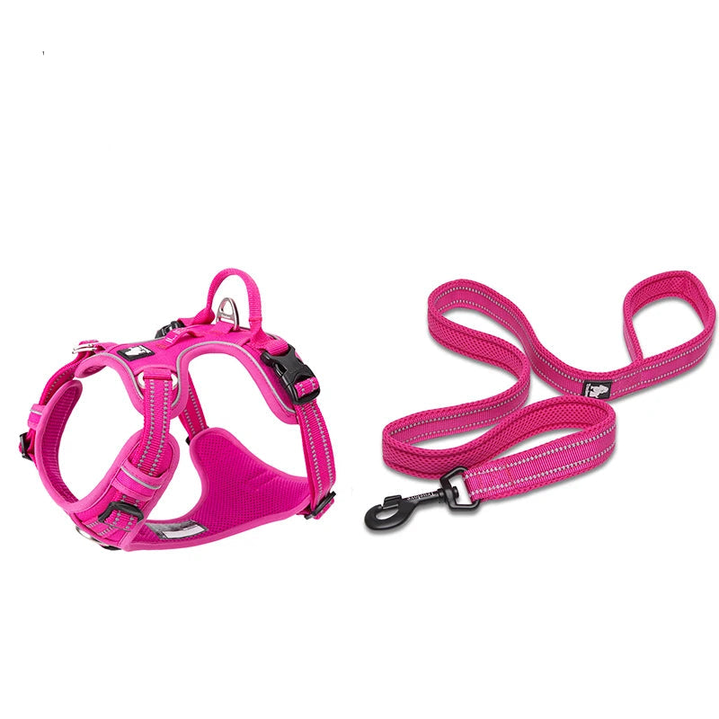 Harness and Lead Set - Hot Pink