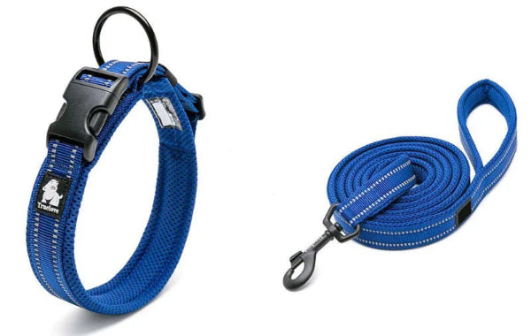 Truelove Dog Collar and Lead Set