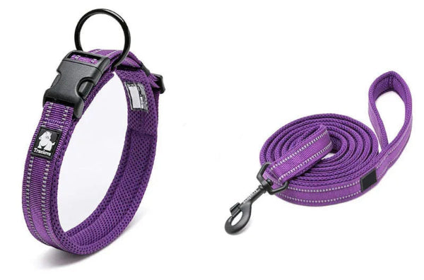 Truelove Dog Collar and Lead Set