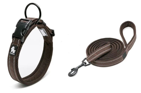 Truelove Dog Collar and Lead Set