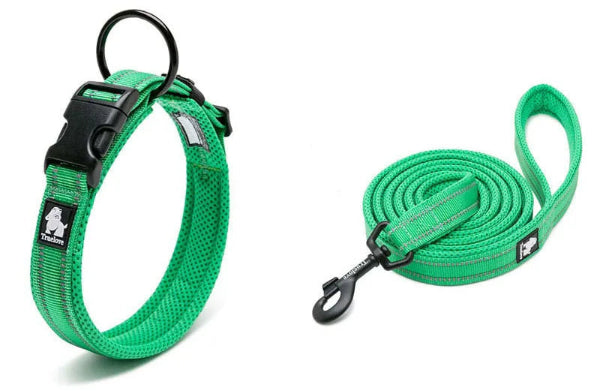 Truelove Dog Collar and Lead Set
