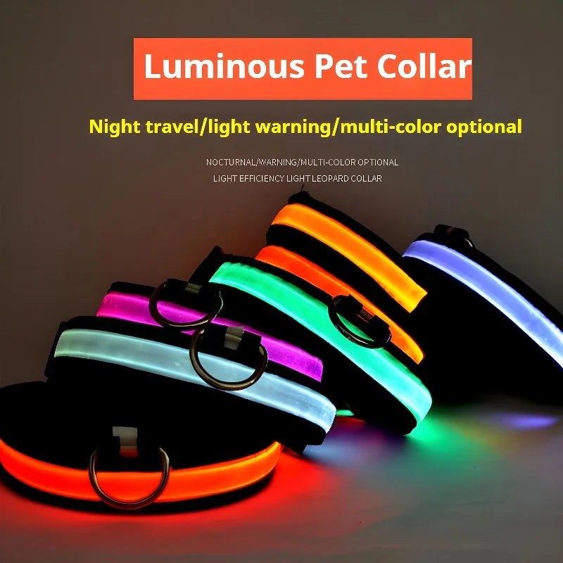 LED night safety dog collar