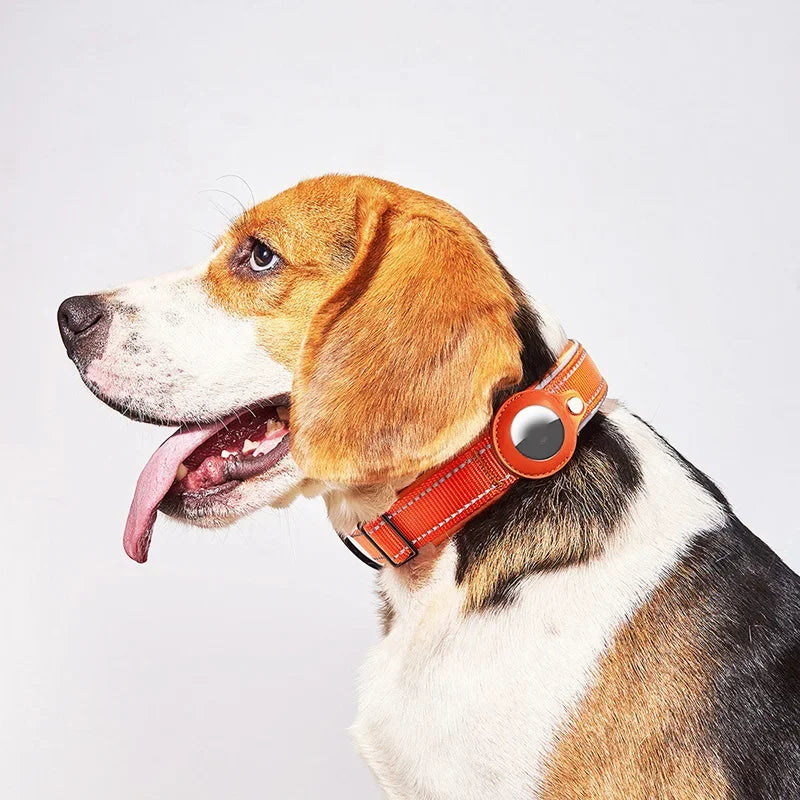 Waterproof Anti-Lost Dog Collar Padded Collars with AirTag Holder