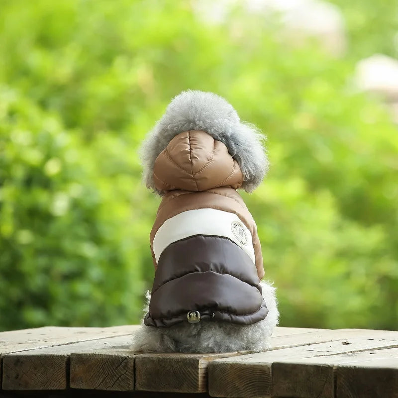 Designer puppy down jackets