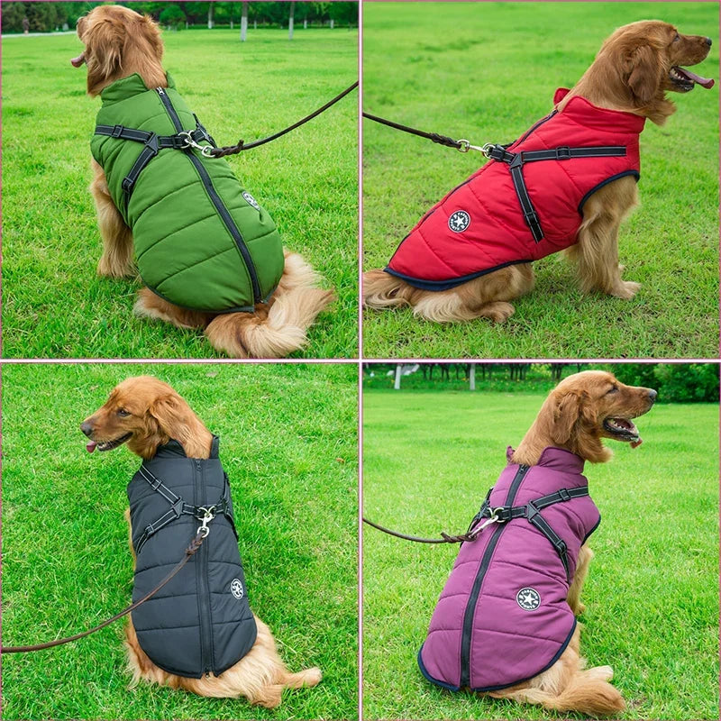 Waterproof Warm Dog Jacket with harness. Ideal for those winter months.