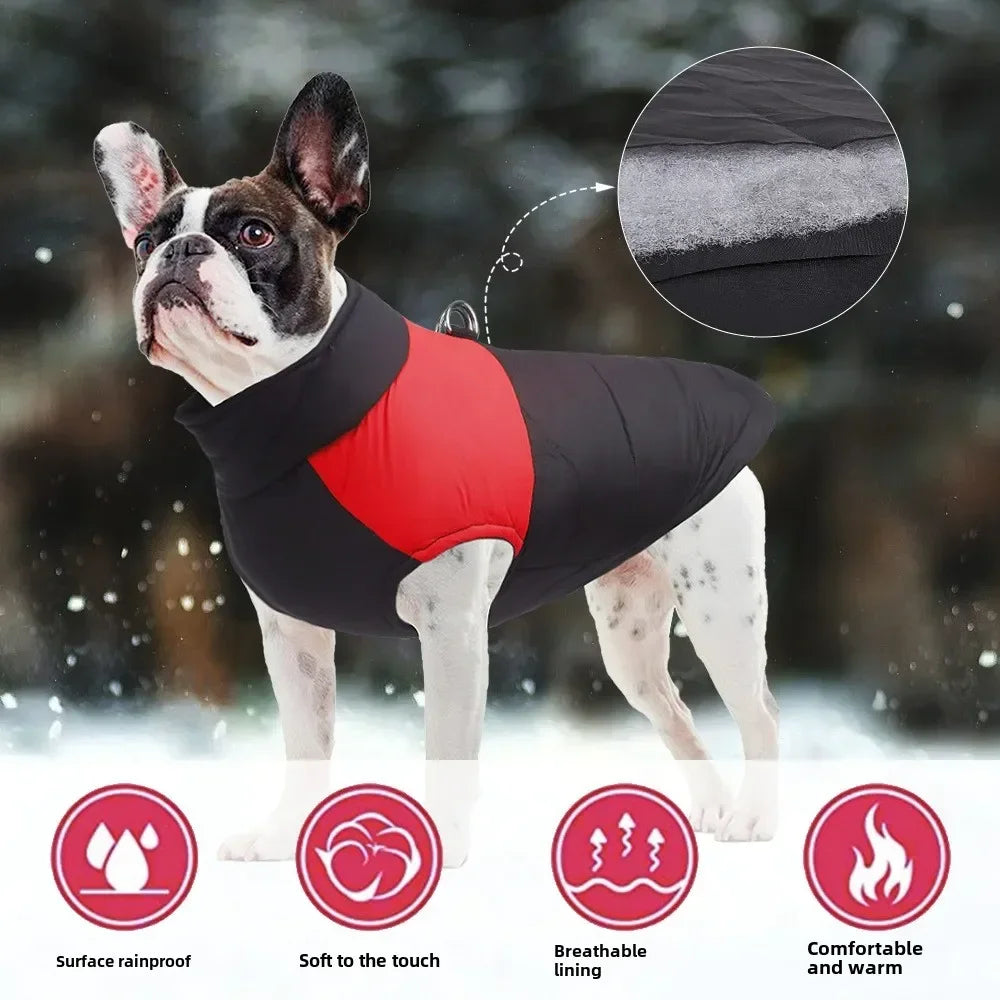 Padded warm dog jacket