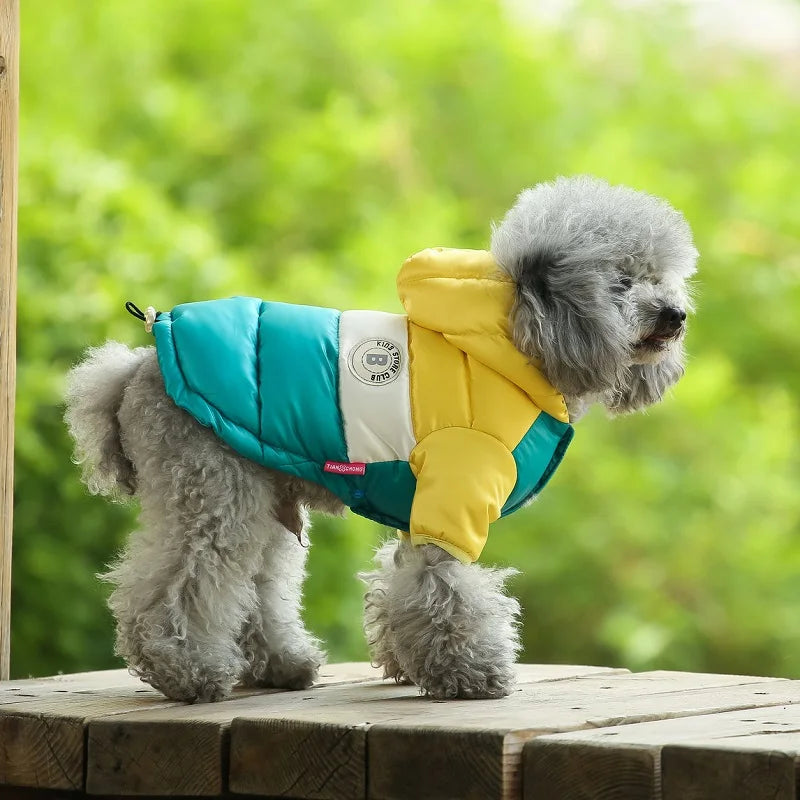 Designer puppy down jackets