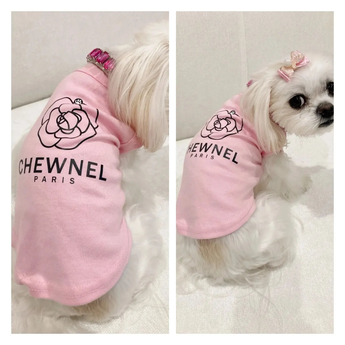 Chewnel designer top for puppies