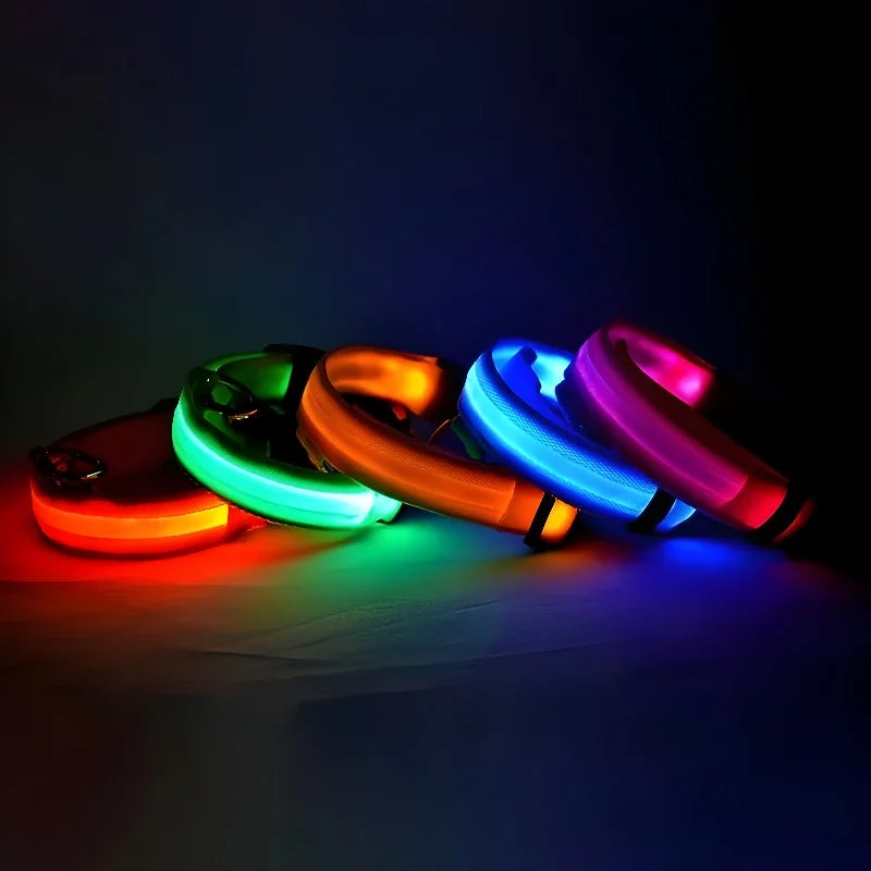 LED night safety dog collar