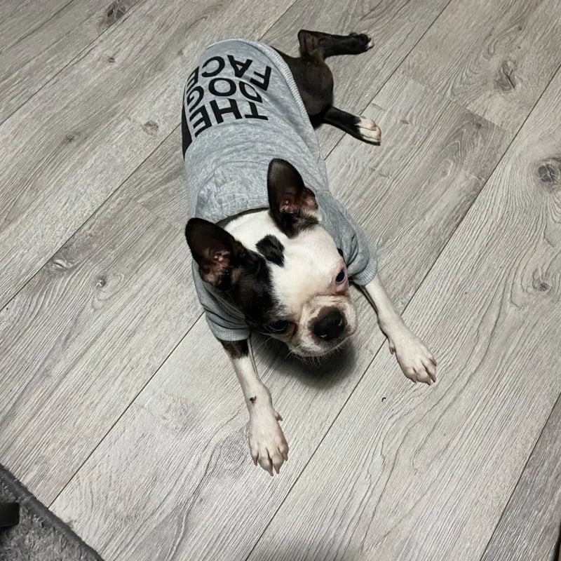 Designer dog hoodies