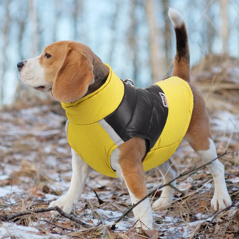 Padded Warm Dog Jacket