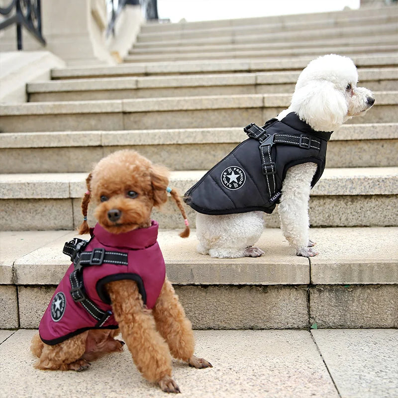 Waterproof Warm Dog Jacket with harness. Ideal for those winter months.