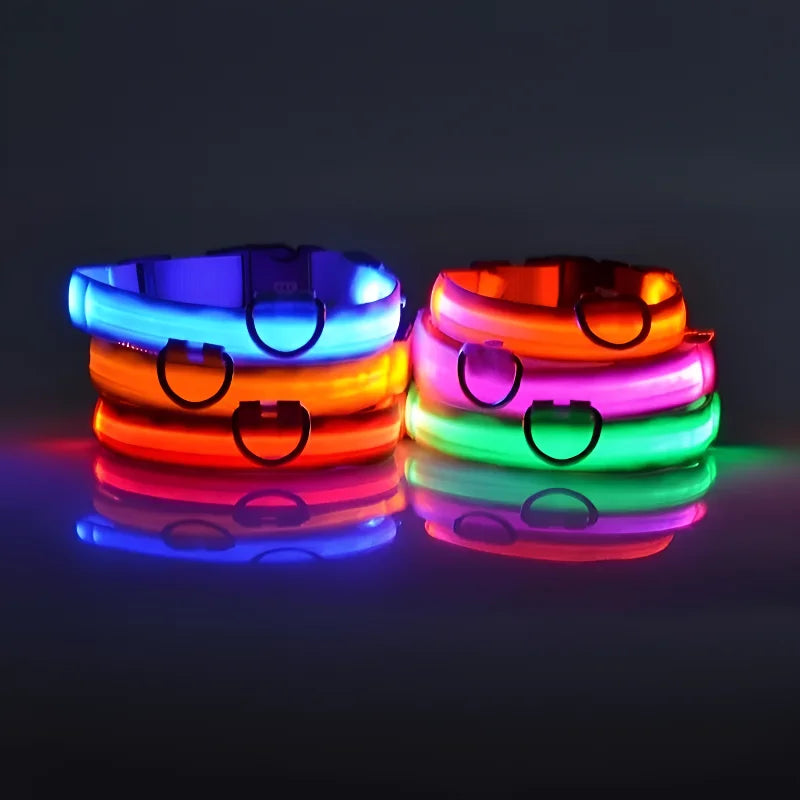 LED night safety dog collar