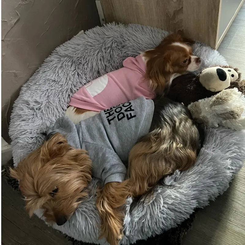 Designer dog hoodies