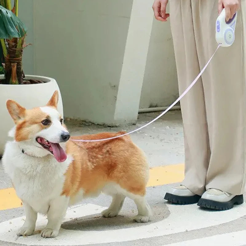 3M/5M Automatic Retractable Dog Leash with torch