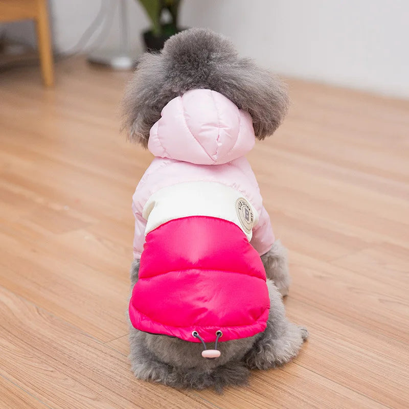 Designer puppy down jackets