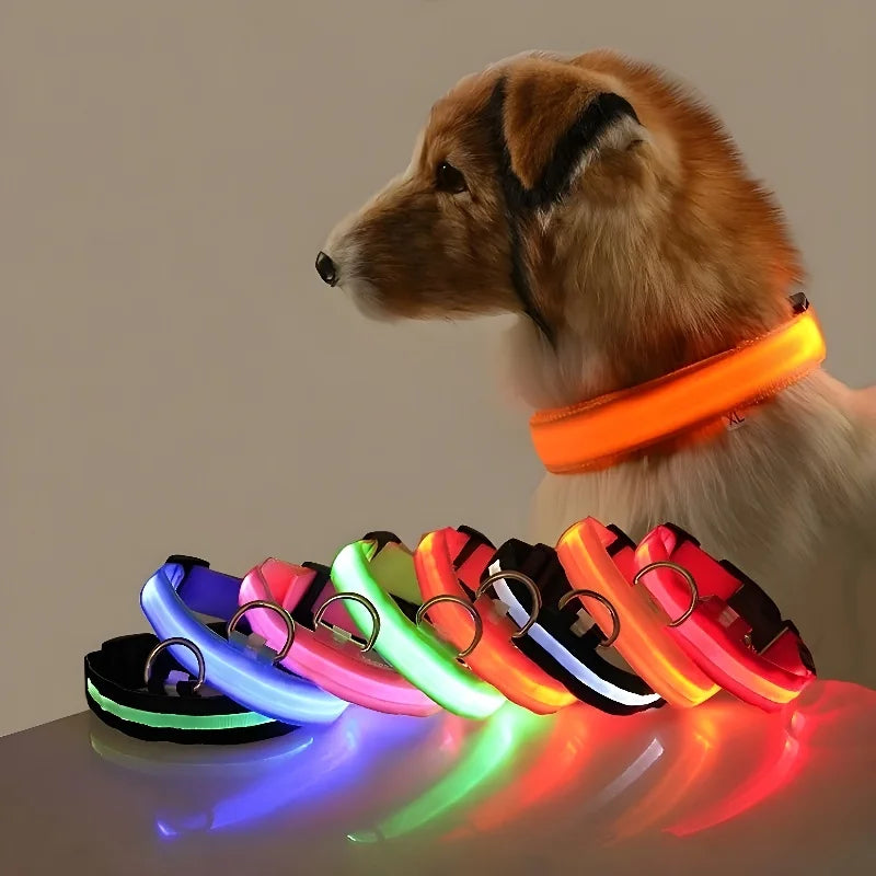 LED night safety dog collar