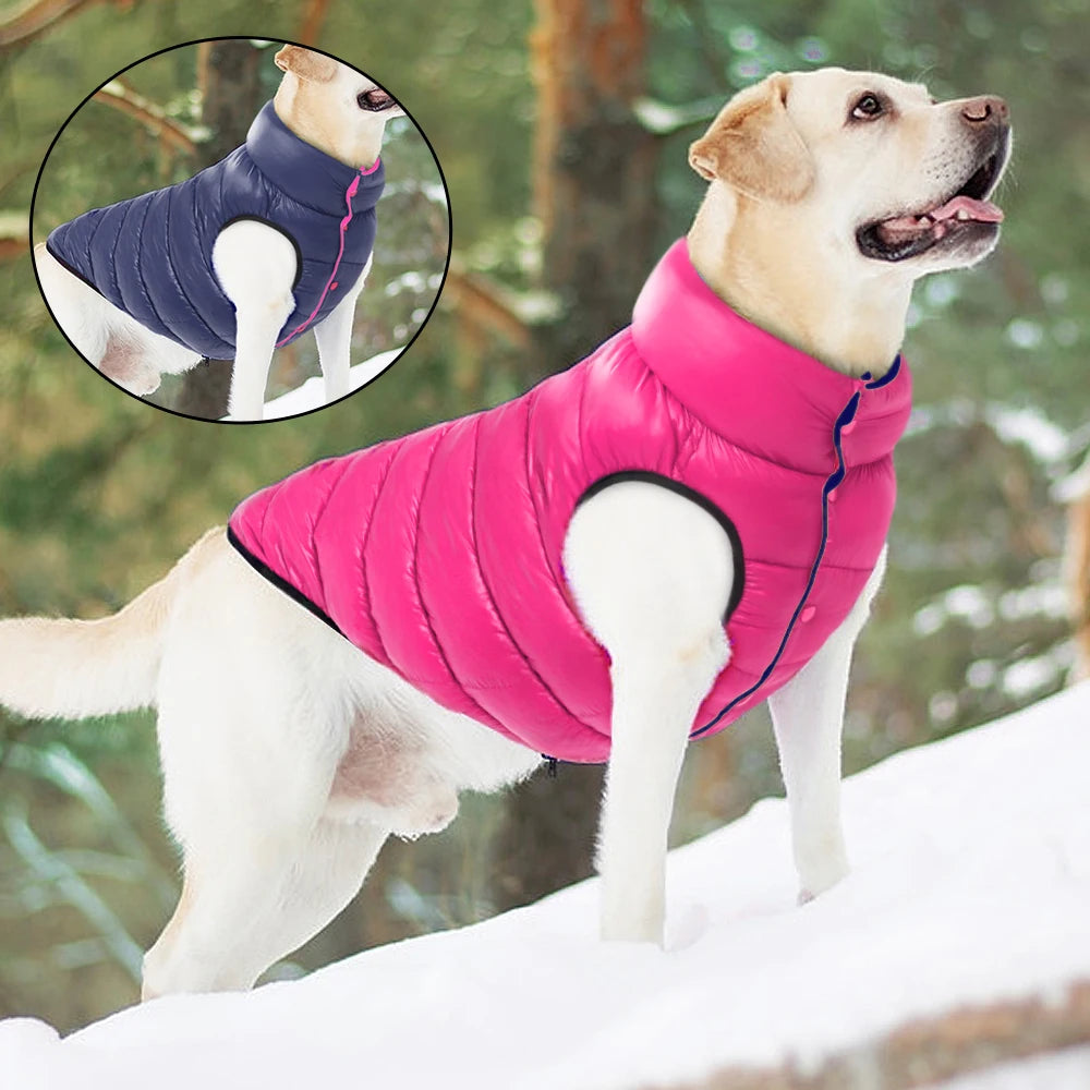 Soft Winter reversible dog jacket