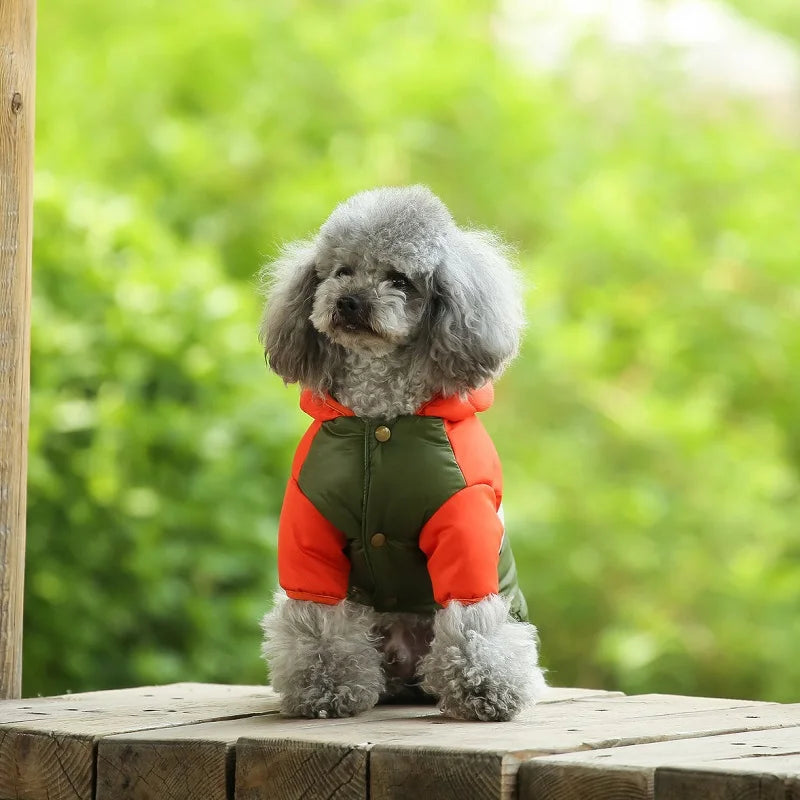 Designer puppy down jackets