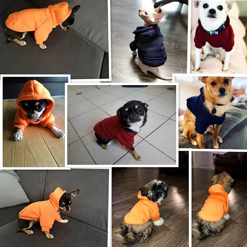 Puppy dog hoodies.